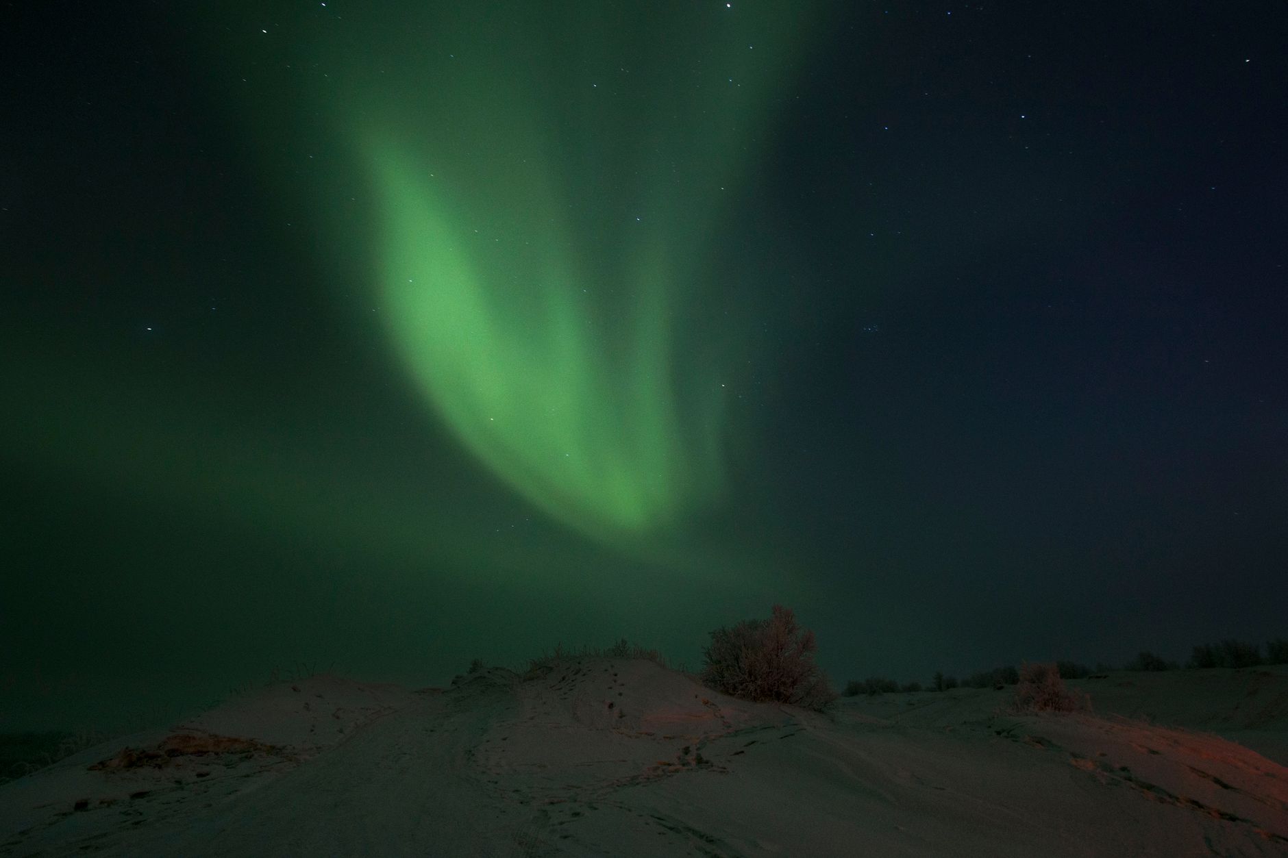 Nordic Lofoten Aurora